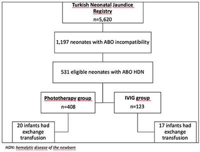 Intravenous Immunoglobulin Use in Hemolytic Disease Due to ABO Incompatibility to Prevent Exchange Transfusion